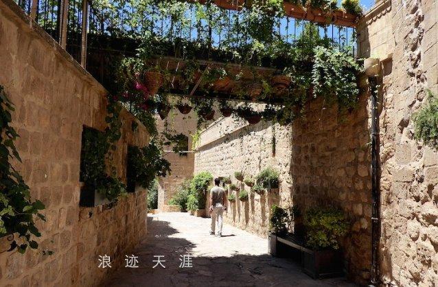 不同肤色的人能自由婚配，为什么人类不会进行生殖隔离呢？游戏画面