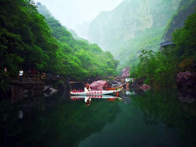 小长颈鹿逃离