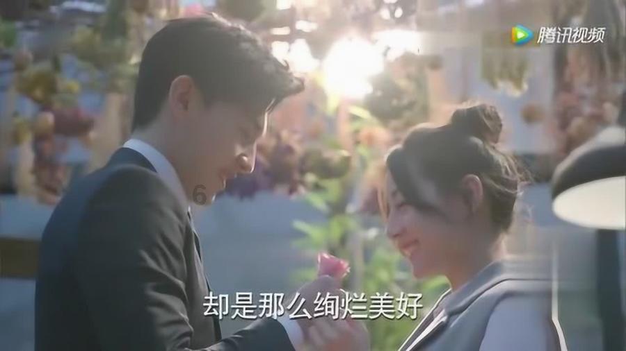 翻转吧，苹果虫