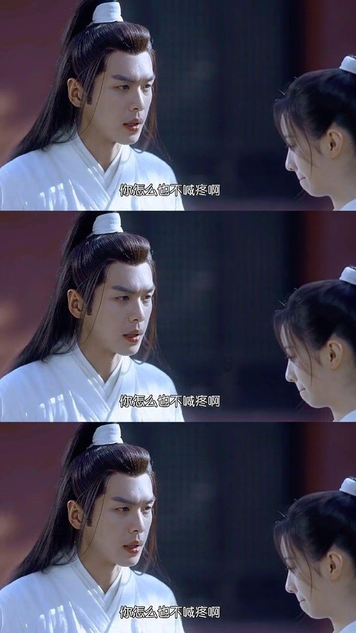 呆萌动物园