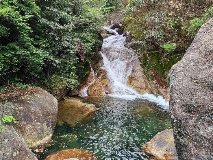 精灵嘉年华