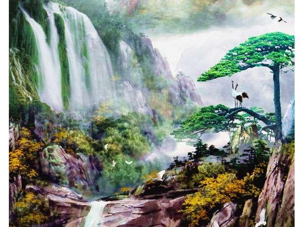 救援受困的小野猫