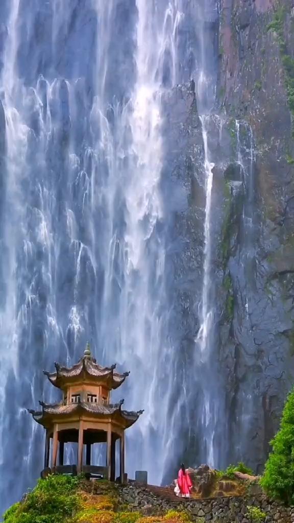 雅乐之舞花，用什么肥比较好？游戏画面