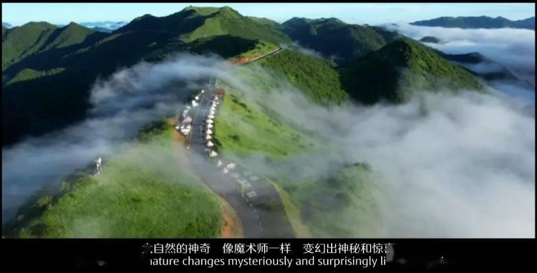 我家黄豆从不打豆浆，加一把芝麻，不加一滴水，比吃肉还有营养！游戏画面