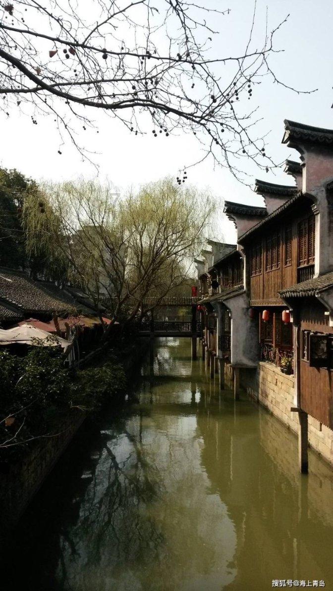 救援怒吼的狮子