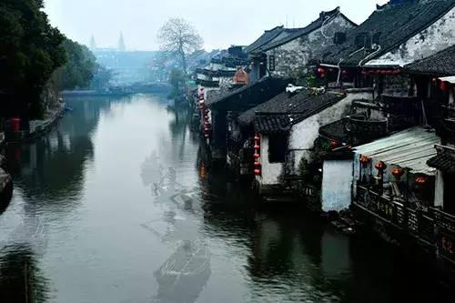 厉害了我的巧虎8