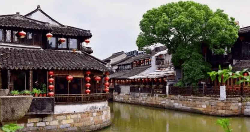 植物大战僵尸10