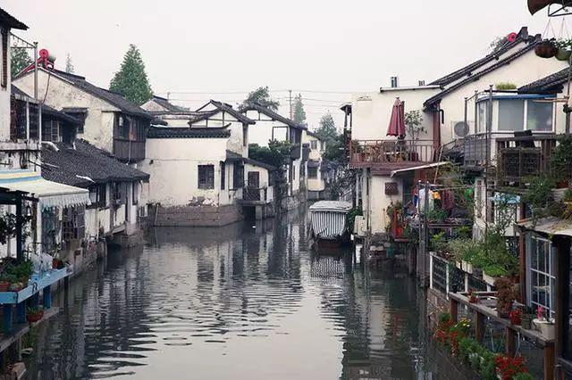 救援小巨鳄