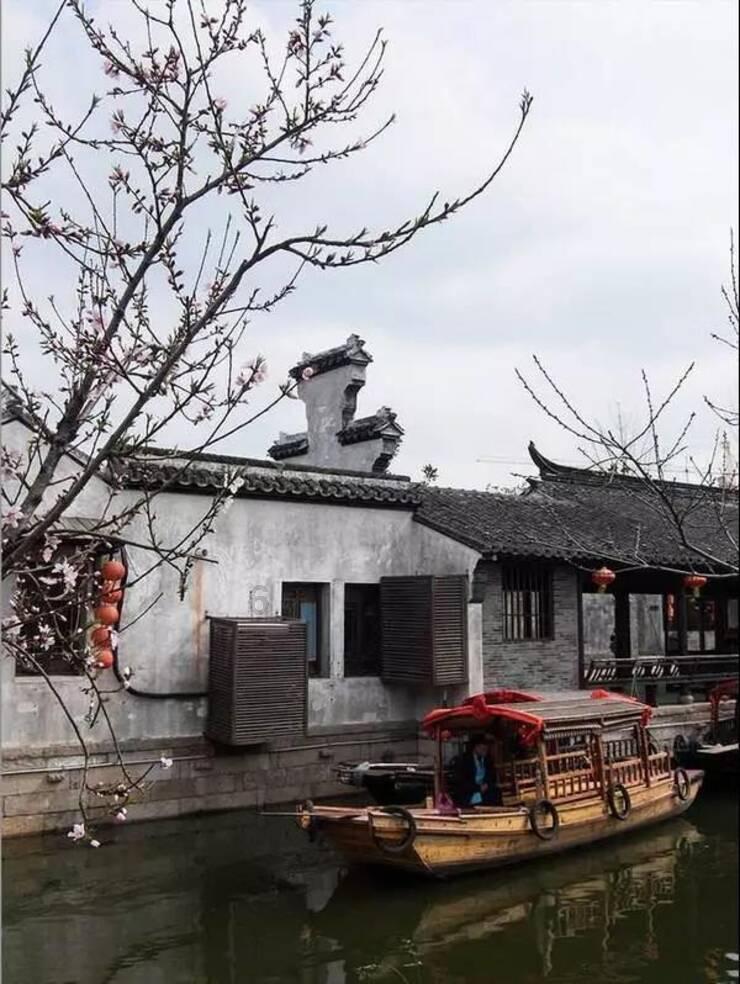 迷雾求生