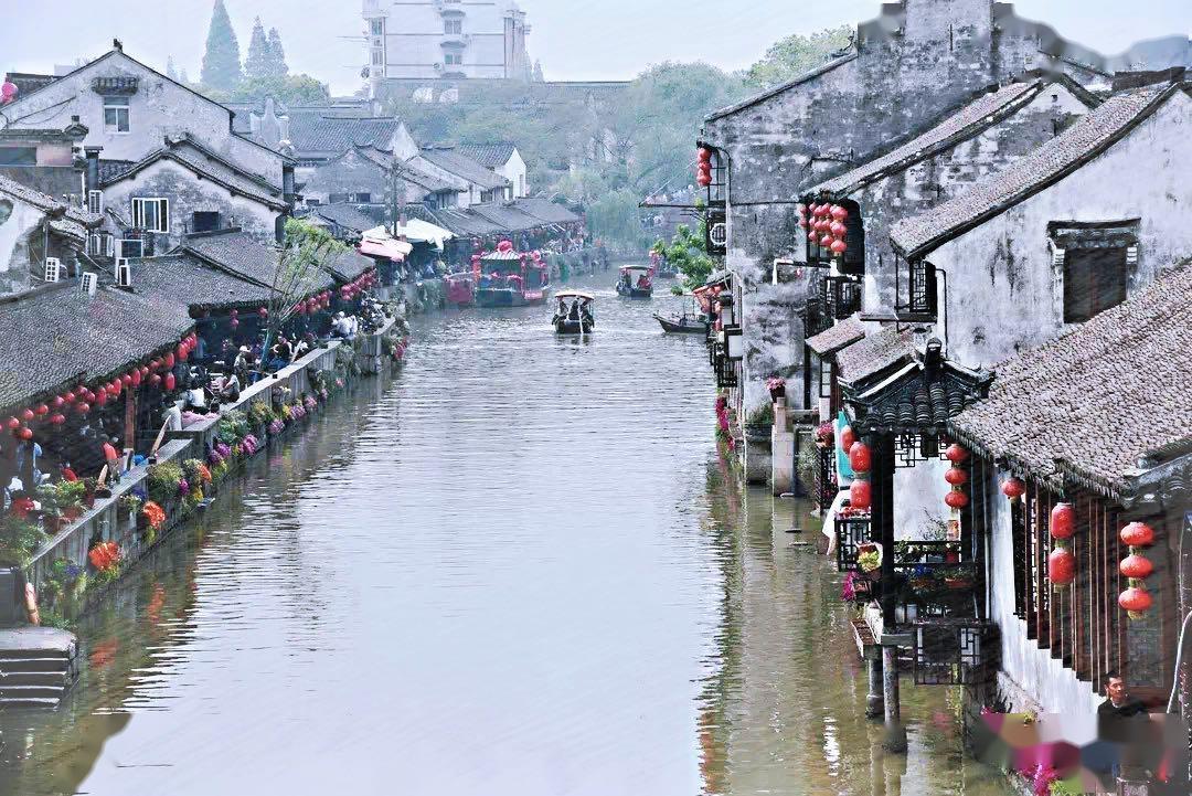 怎样做酸豇豆？游戏画面