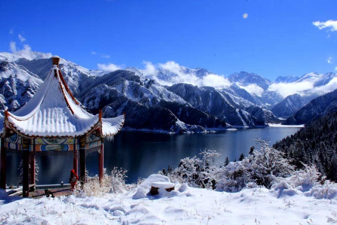 证监会：全面暂停限售股出借